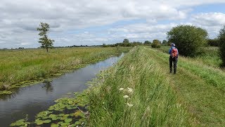 Wicken Fen Walks Cambridgeshire Walks In England UK [upl. by Ieppet]