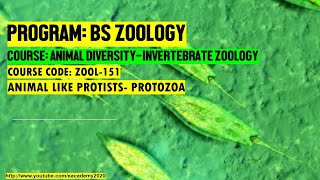 Lecture  01 Animal Like Protists Protozoa [upl. by Gnus308]