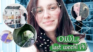 OWLs READATHON VLOG WEEK 4 Parks amp rearranging bookshelves [upl. by Knitter]