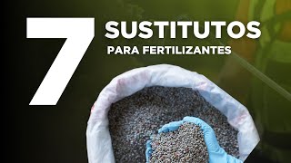 7 Sustitutos para fertilizantes de síntesis química [upl. by Namhar]