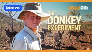 The maverick outback grazier using donkeys to regenerate his land  Australian Story [upl. by Inoek]