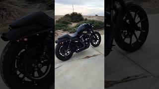 Sportster Iron 883 Customized HarleyDavidson [upl. by Diet956]