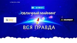 Облачный майнинг  вся ПРАВДА  реальный пример [upl. by Cicenia]