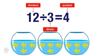 What is Division Grade 3 [upl. by Inge]