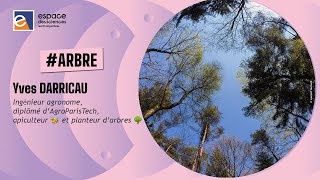 🌴 Yves Darricau Des arbres pour le futur [upl. by Annaira]