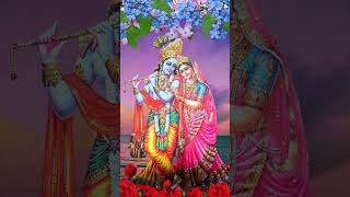 Jai shree Krishna shorts shortvideos भक्तिsong hindi [upl. by Grissel]