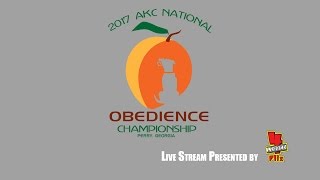 2017 AKC National Obedience Championship Saturday Ring 2 [upl. by Crocker]