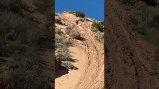 2024 YZ 450 vs one of Albuquerques toughest hill climbs dirtroad desertracing yamaha [upl. by Ogawa]