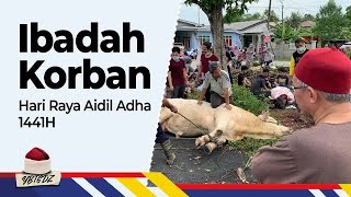 Ibadah Korban Hari Raya Aidil Adha 1441 Hijrah [upl. by Nacim]