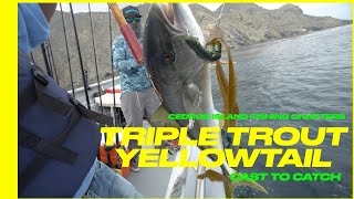 Cedros Island  Cedros Fishing  Yellowtail  Calico Bass  Swimbait Fishing  WARBAITS DAY 2 2021 [upl. by Teressa]