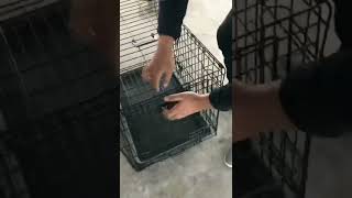 dog cage foldable breathable Stackable Dog Cages For Large Dog Wholesale Dog Crate [upl. by Acired998]