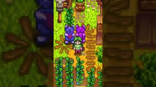 ECONOMIZE 5 MILHÕES DE OUROS NO Stardew Valley [upl. by Aenehs]