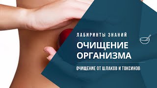 Естественное ОЧИЩЕНИЕ ОРГАНИЗМА от шлаков и токсинов  Лабиринты Знаний [upl. by Aiouqes]