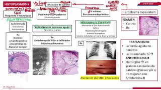 RESUMEN COMPLETO DE MICOSIS [upl. by Ransell]