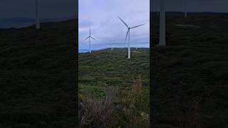 Albany wind farm Albany Western Australia 🇦🇺 shorts [upl. by Hadria]