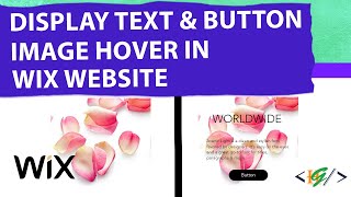 How to Display Button and Text on Image Hover in Wix Website [upl. by Edasalof]