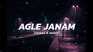 Agle Janam Slowed amp Reverb Rishi Roy  Hindi slowed and reverb song hindi song [upl. by Barkley]