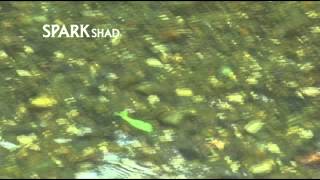 MEGABASS MOVIE 078 SPARK SHAD [upl. by Eicart]