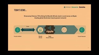 Ripple Demo  Temenos T24 To Bluezelle To RippleNet From 15 Nov 2016 [upl. by Camey]