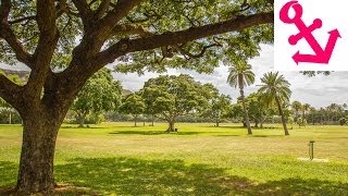 Visit Kapiolani Park Waikiki Beach Oahu [upl. by Angeline9]