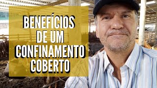 VANTAGENS DE CONFINAR O GADO EM AMBIENTE COBERTO [upl. by Leverett769]