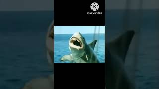 Jaws 4 The Revenge 1987 The Sharks Roar 🦈 🔊 [upl. by Etra]