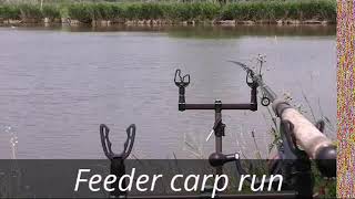 Feeder Fishing Carp run complication [upl. by Meakem]