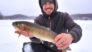 Winter Rainbow Trout Cooked Over a Campfire [upl. by Bum174]