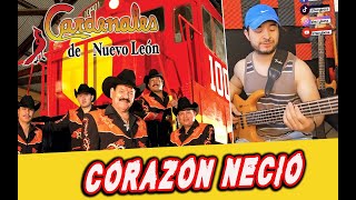 Como tocar CORAZON NECIO  Los Cardenales de Nuevo León  Bass tutorial [upl. by Rodolfo]