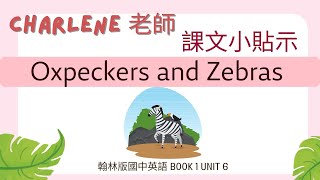 翰林國中英語第1冊第6課閱讀p121 ReadingOxpeckers and zebras你有聽過牛椋鳥嗎動物之間的互利共生內幕很有趣喔【Charlene課文小貼示來囉】 [upl. by Publia756]