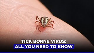 Tick Borne Virus All You Need To Know [upl. by Rachele497]