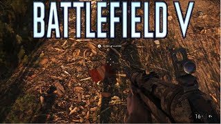 Battlefield V All Letters Location quotUnder No Flagquot War Story [upl. by Eamon]