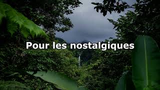 Bruits de la nuit en Guadeloupe Relaxation ASMR [upl. by Yrem]