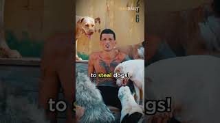 He stole 8000 dogs [upl. by Eux]