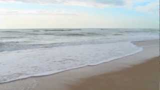 Soothing Ocean Waves On the Beach 720p [upl. by Nodababus]