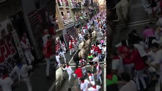 Running of the bulls in Pamplona’s san Fermín festival [upl. by Anileva]