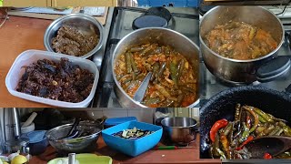 vankaya tho nenu redu rakalu chesenu 🤔mana day kitchen vlog [upl. by Philemon]