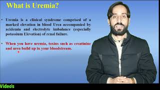 Uremia vs Azotemia [upl. by Milas]