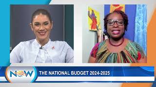 The National Budget 20242025 [upl. by Nnylyoj702]