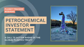 The Petrochemical Investor Statement A Call to Action Ahead of the Global Plastics Treaty [upl. by Recnal]