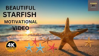 STARFISH  Beautiful Starfish Video  2023 [upl. by Glendon]