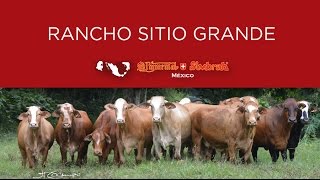 53 Rancho Sitio Grande 2016 [upl. by Siblee]