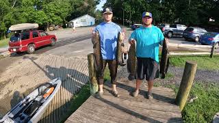 Mattawoman Creek Fishing Trip Snakehead  Bass [upl. by Nomor]