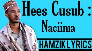 XARIIR AXMED HEES CUSUB NACIIMA OFFICIAL VIDEO HD LYRICS 2020 [upl. by Leugim]