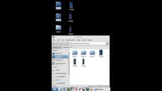 Drag and Drop Problem on Lubuntu 1304 [upl. by Wulfe]