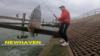 Sea Fishing UK  LRF Fishing At Newhaven Harbour Catching What We Can In These Terrible Winds [upl. by Rollecnahc360]