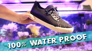 Vessi Weekend Shoe Review by a Reef Aquarium Hobbyist [upl. by Yart836]