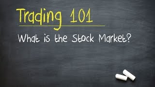 Trading 101 What is the Stock Market [upl. by Shaper]