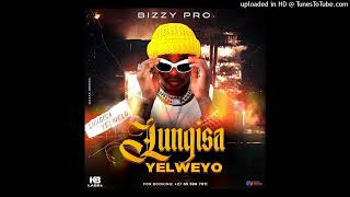 Bizzy Pro  Lungisa Yelweyo 2025 [upl. by Dnaleel145]