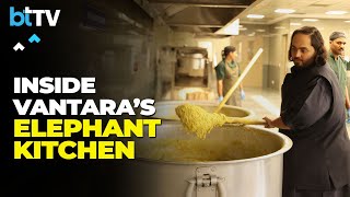 Exclusive  Anant Ambani And Rahul Kanwal Take a Tour of Vantara Kingdom Elephant Kitchen [upl. by Yluj618]